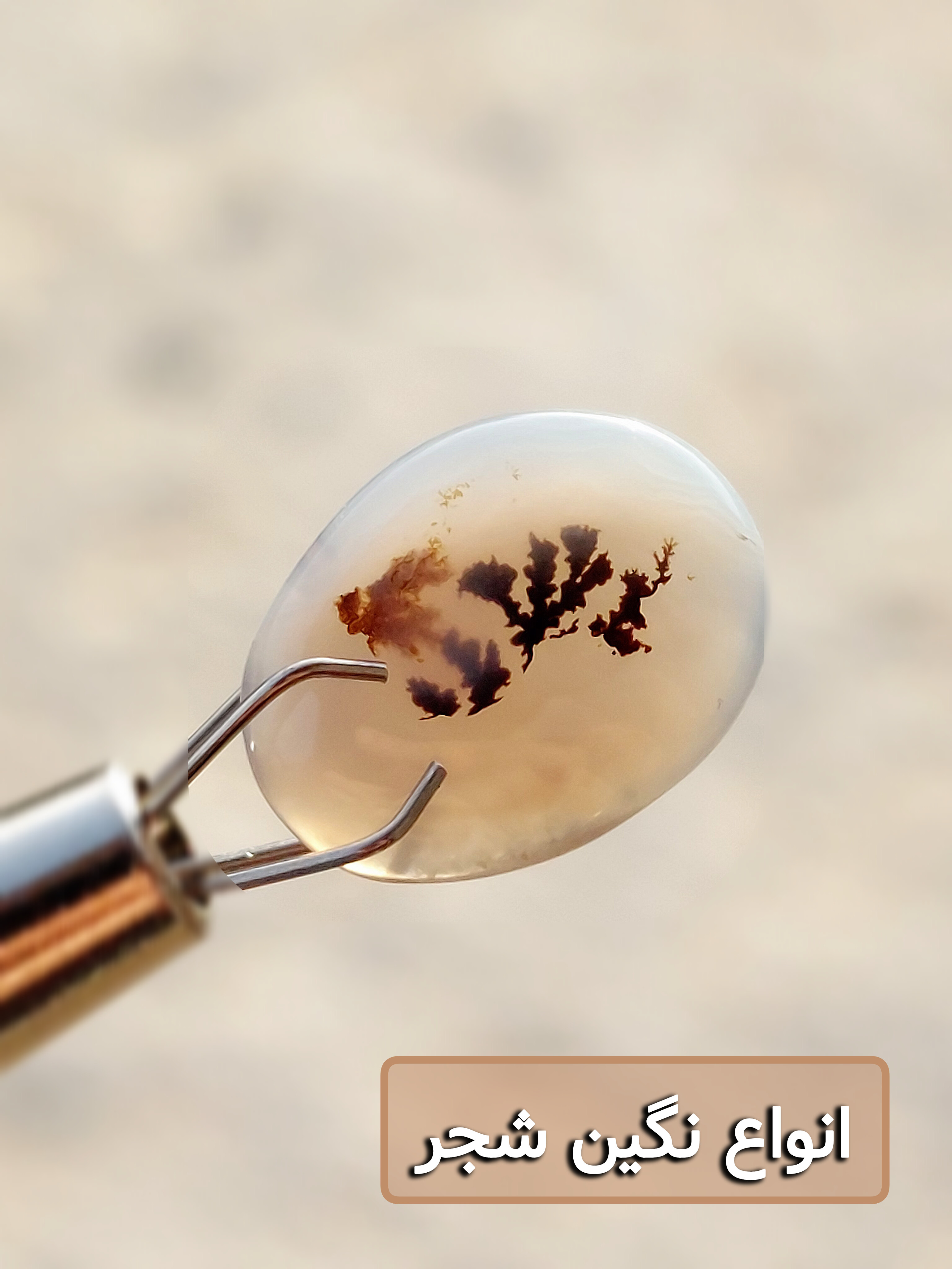 انواع نگین شجر 