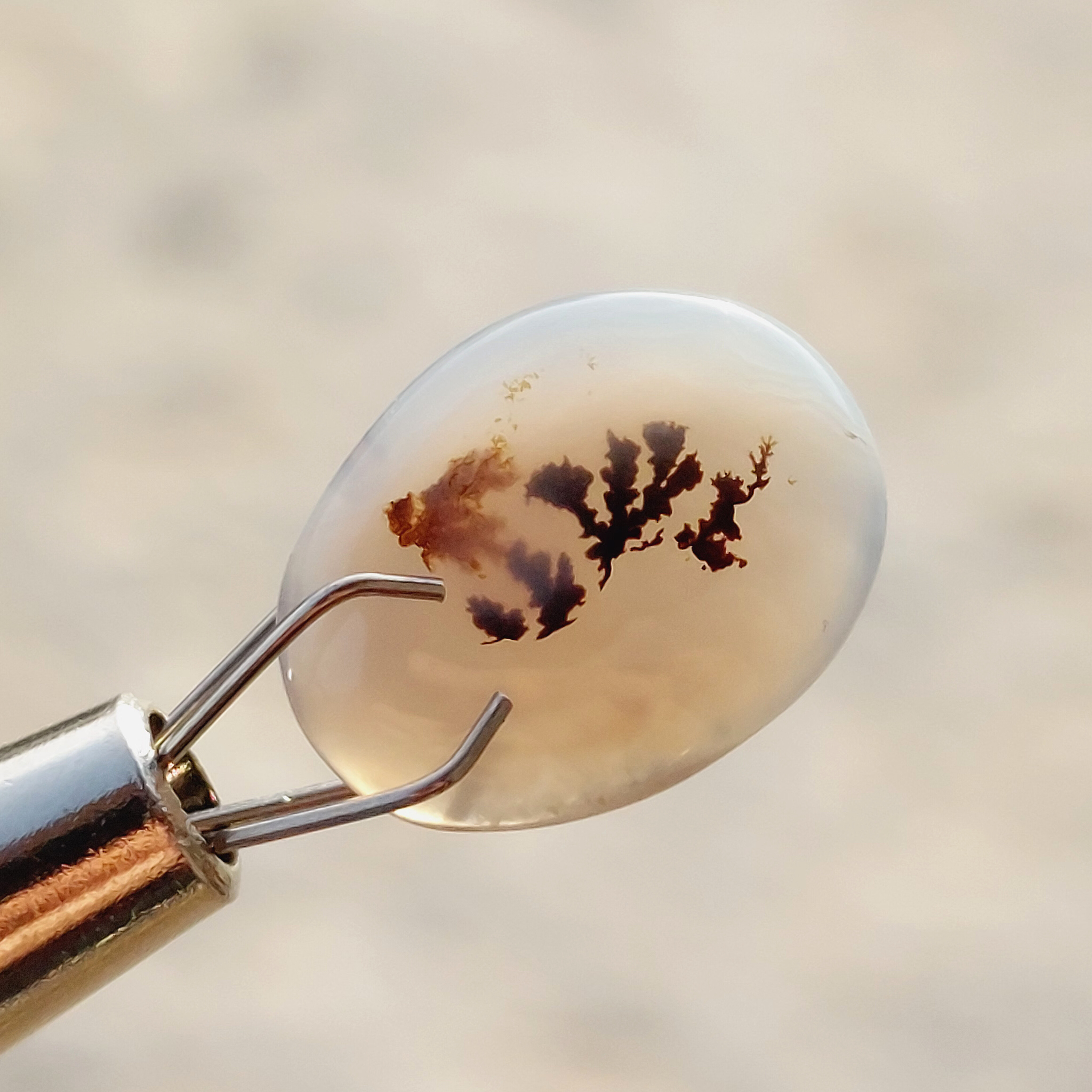 انواع نگین شجر 