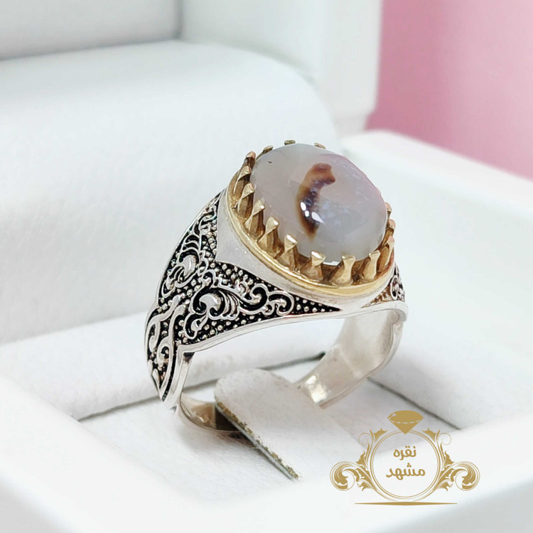 شجر اصل شجر چیست