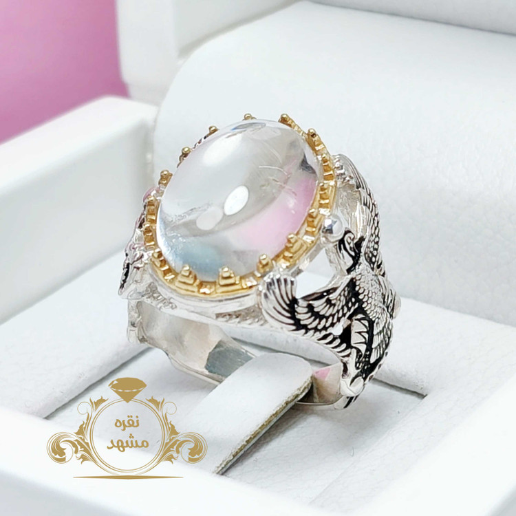 فروهر در نجف