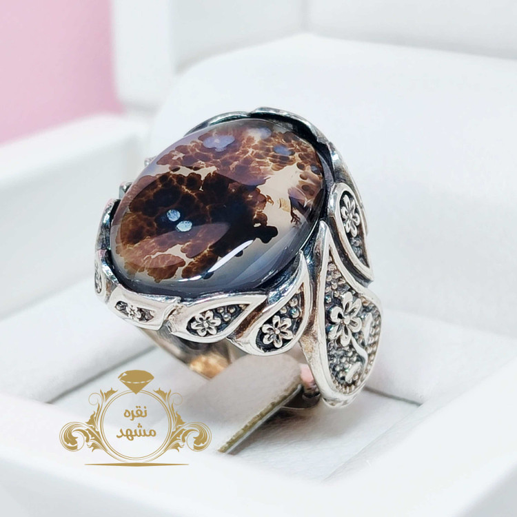 شجر قائن چیست