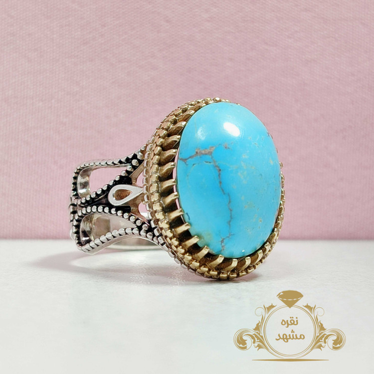 فیروزه عجمی