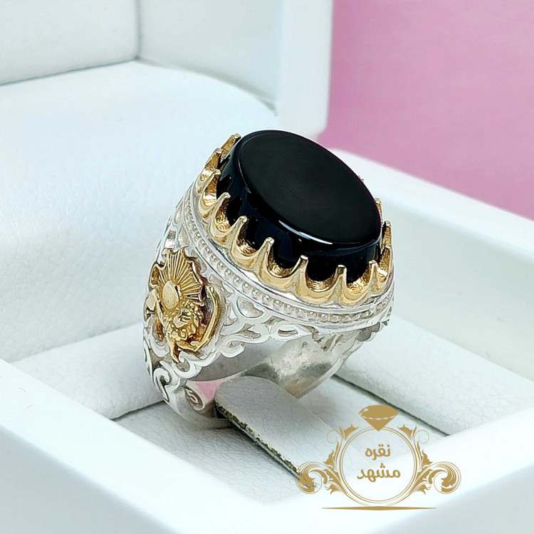 شیر و خورشید