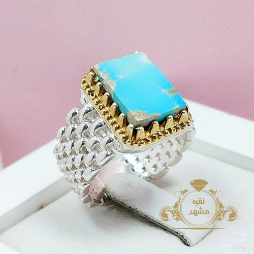 فیروزه نیشابوری