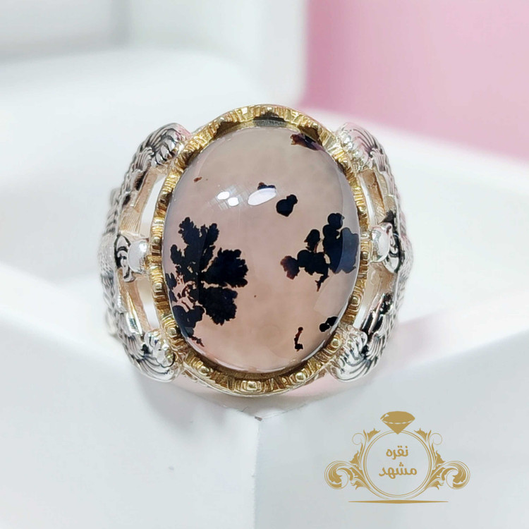 شجر خاص و زیبا تک درخت رکاب فروهر