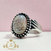 انگشتر دست و دلبر شجر مردانه شجر ظریف و زیبا