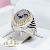 فروشگاه شجر عقیق شجر اصل