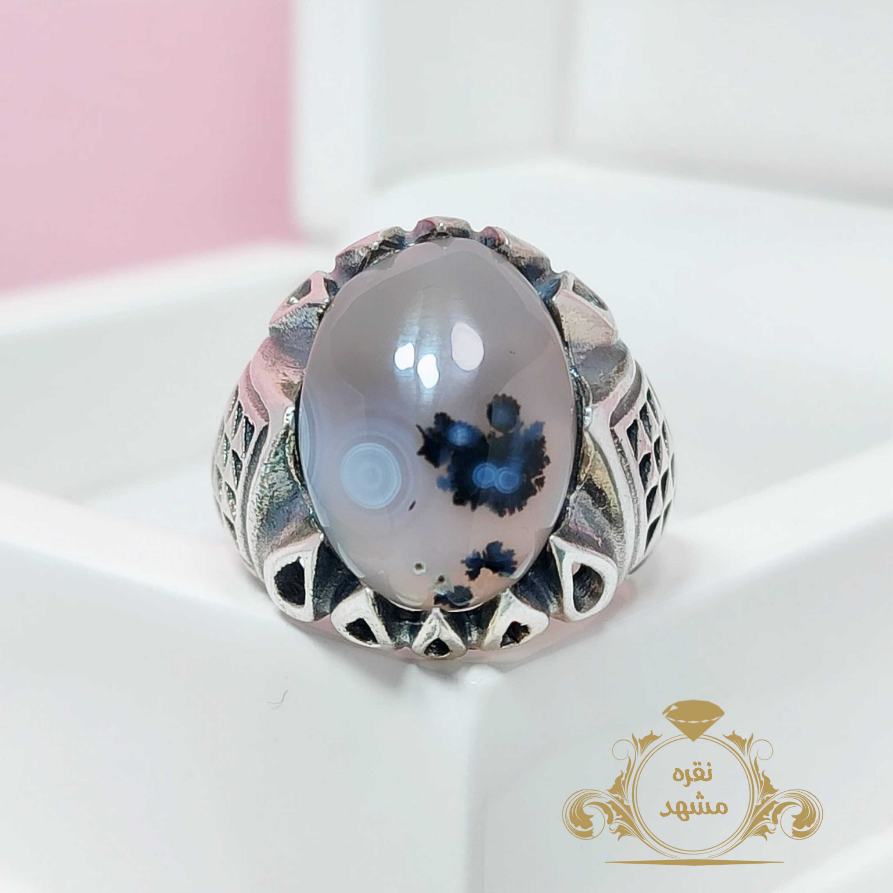 شجر قائن چیست زیبایی شجر قائن