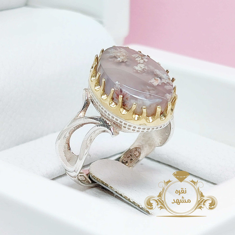 شکوفه های بهاری انگشتر شجر نقش شکوفه های بهاری اصلی