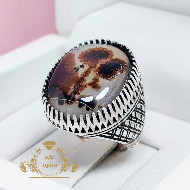 شجر دو درخت بلند نقش عالی و زیبا