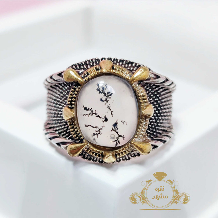 شجر سوزنی رکاب چنگ عقابی