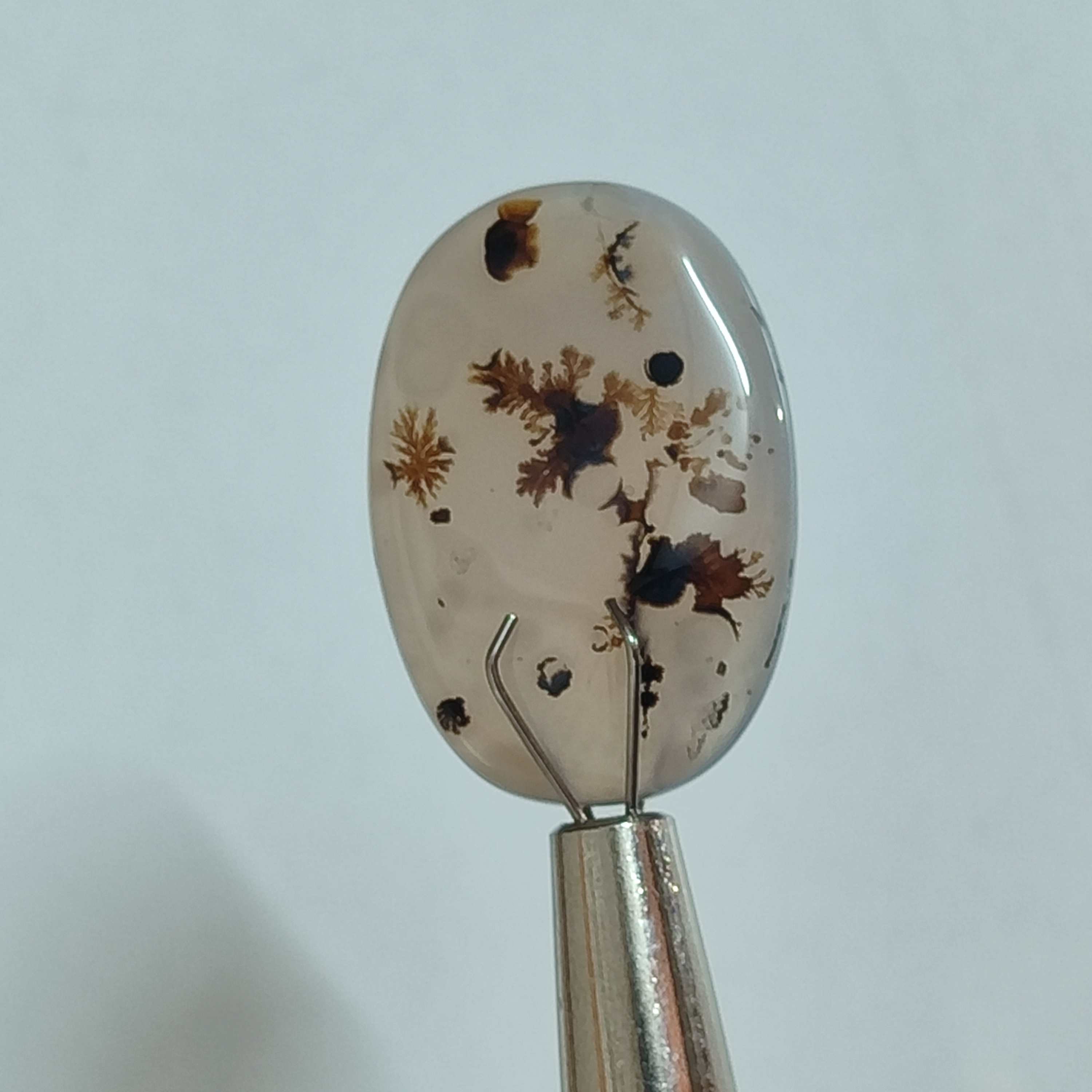 سنگ شجر اصلی